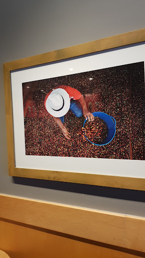 Coffee Shop «Starbucks», reviews and photos, 1720 S Orange Blossom Trail, Apopka, FL 32703, USA