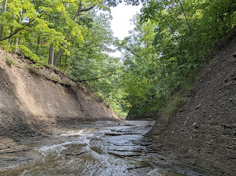 Euclid Creek Reservation