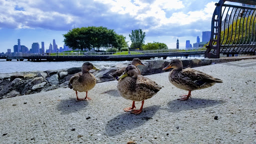 Park «Sinatra Park», reviews and photos, Sinatra Dr, Hoboken, NJ 07030, USA