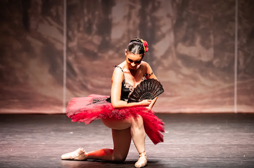 Logo da empresa - Ballet Movimento