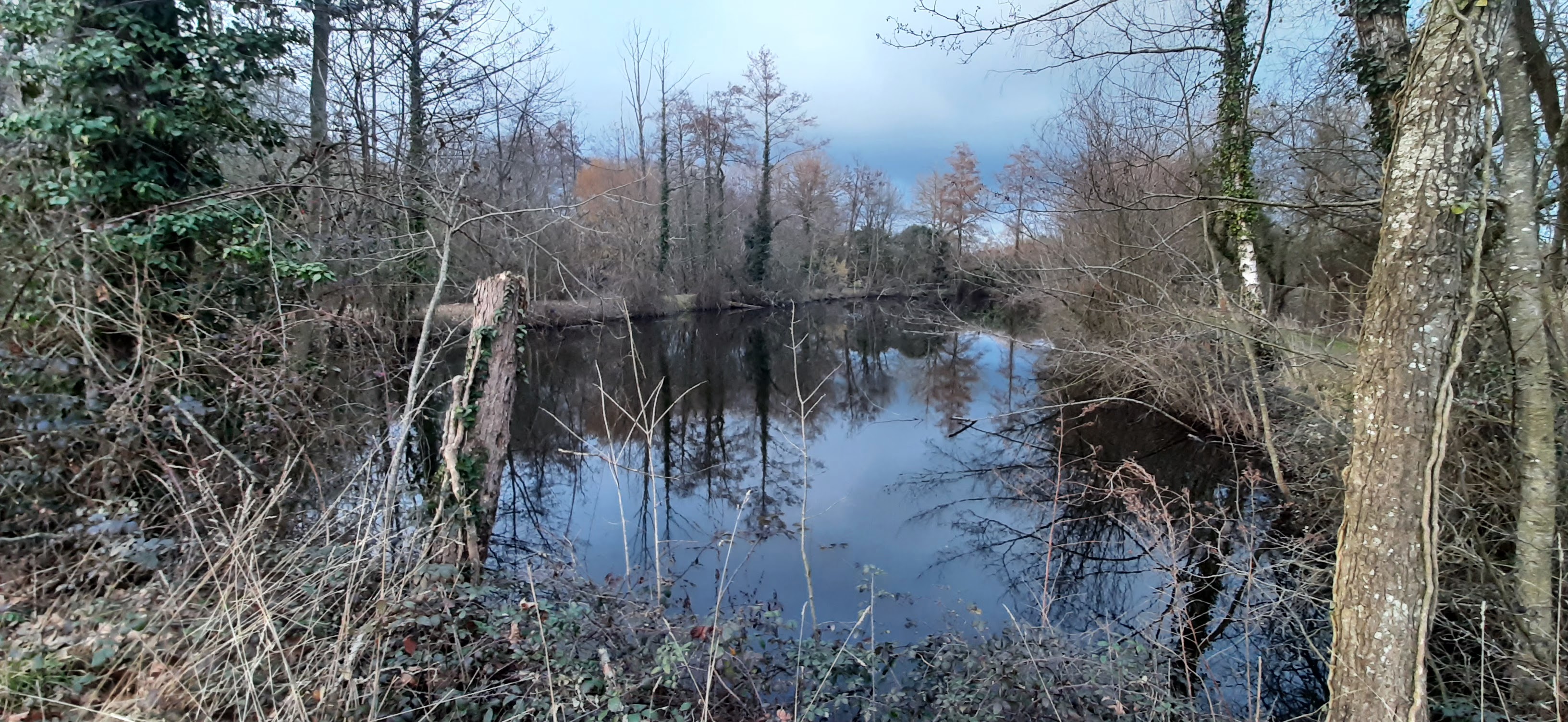 Photo n° 9 de l'avis de balouin.r fait le 11/03/2023 à 00:21