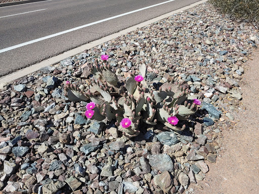 Tourist Attraction «Estrella Star Tower», reviews and photos, S Estrella Pkwy, Goodyear, AZ 85338, USA