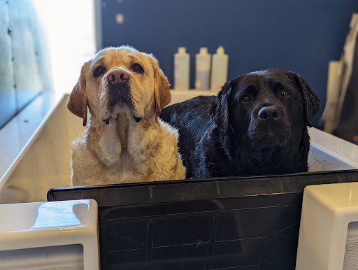 Pet Store «Healthy Pets Mountain West», reviews and photos, 2352 Fort Union Blvd, Cottonwood Heights, UT 84121, USA