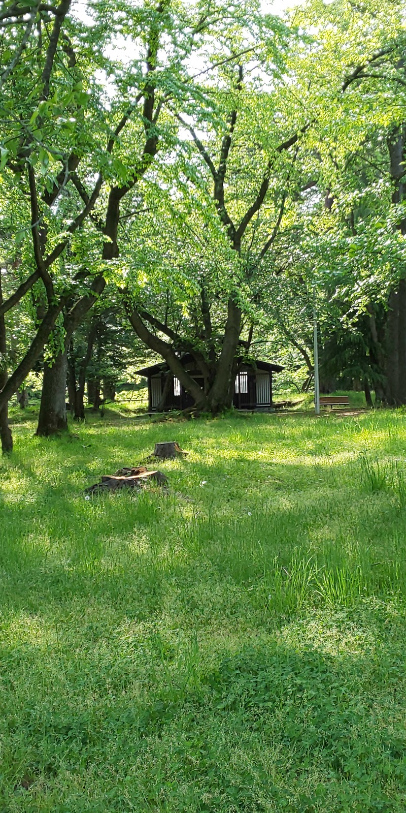 弘前公園 ピクニック広場前 公衆トイレ