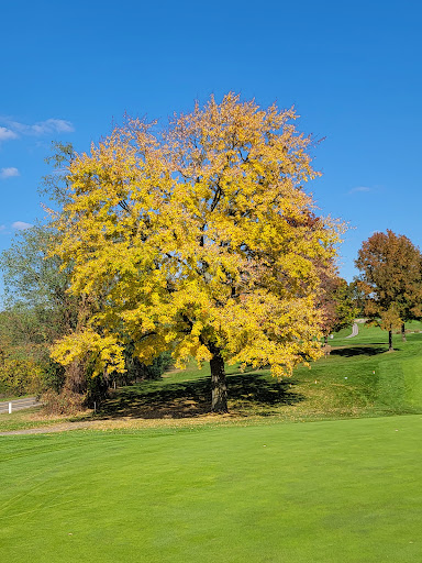 Public Golf Course «Turkeyfoot Golf Course», reviews and photos, 294 W Turkeyfoot Lake Rd, Akron, OH 44319, USA