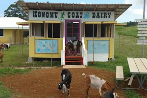 Honomu Goat Dairy image