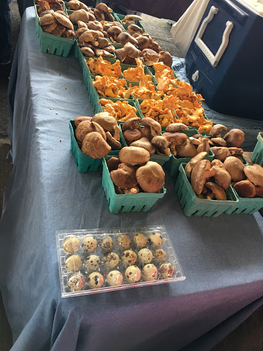 Produce Market «City of Rochester Public Market», reviews and photos, 280 Union St N, Rochester, NY 14609, USA