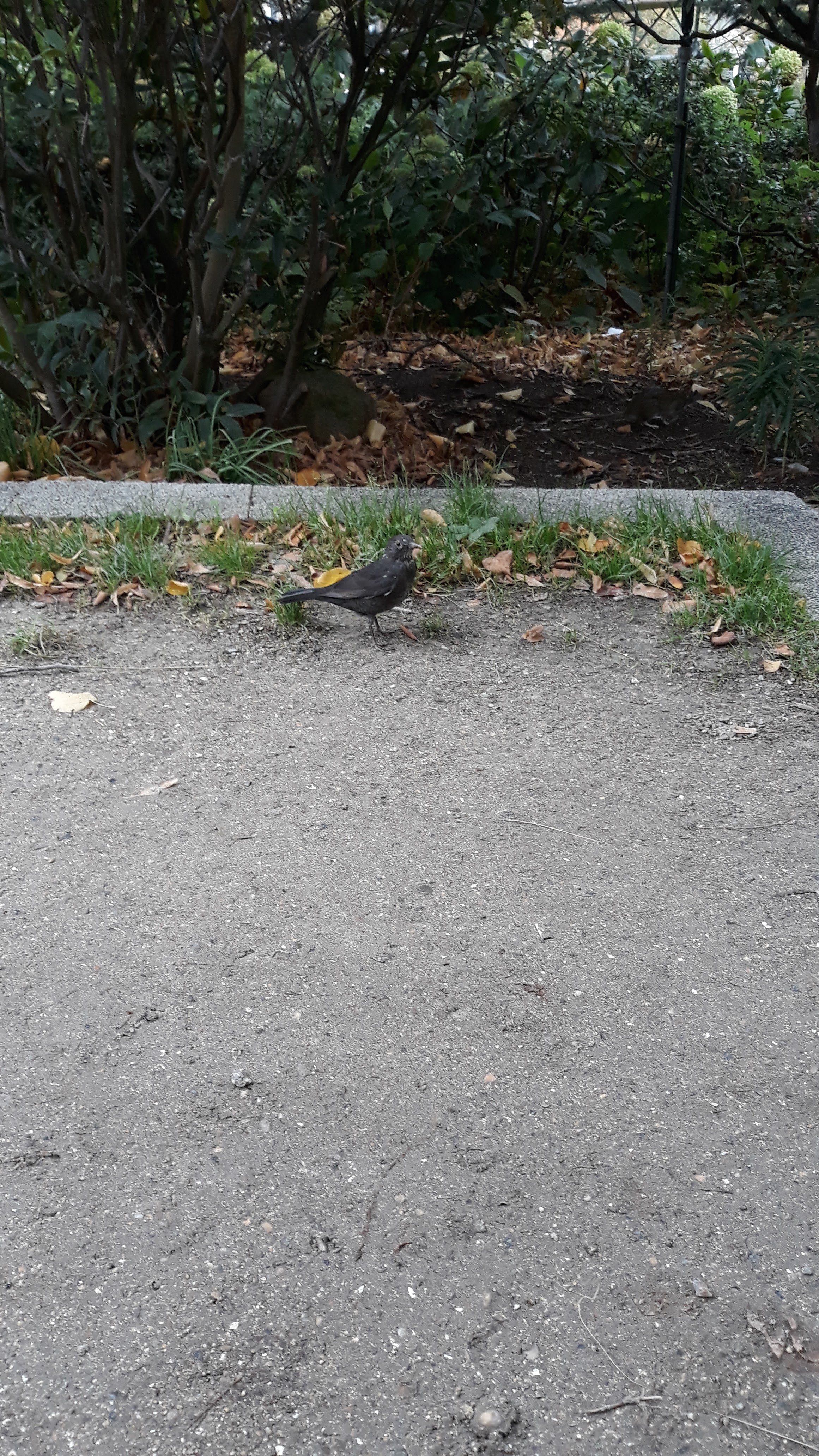 Photo n° 3 de l'avis de Edmond.o fait le 14/10/2019 à 19:43