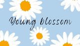 Young blossom Soorts-Hossegor