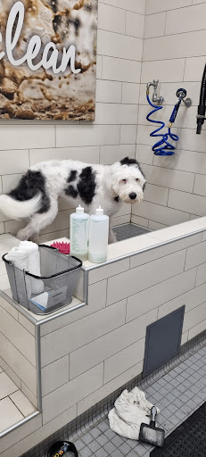 Pet Supply Store «Petco Animal Supplies», reviews and photos, 5850 Sepulveda Blvd, Van Nuys, CA 91411, USA