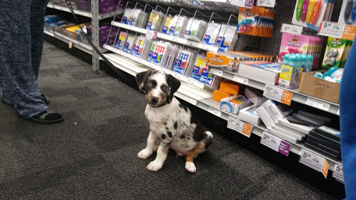 Office Supply Store «Staples», reviews and photos, 19141 Golden Valley Rd, Santa Clarita, CA 91387, USA