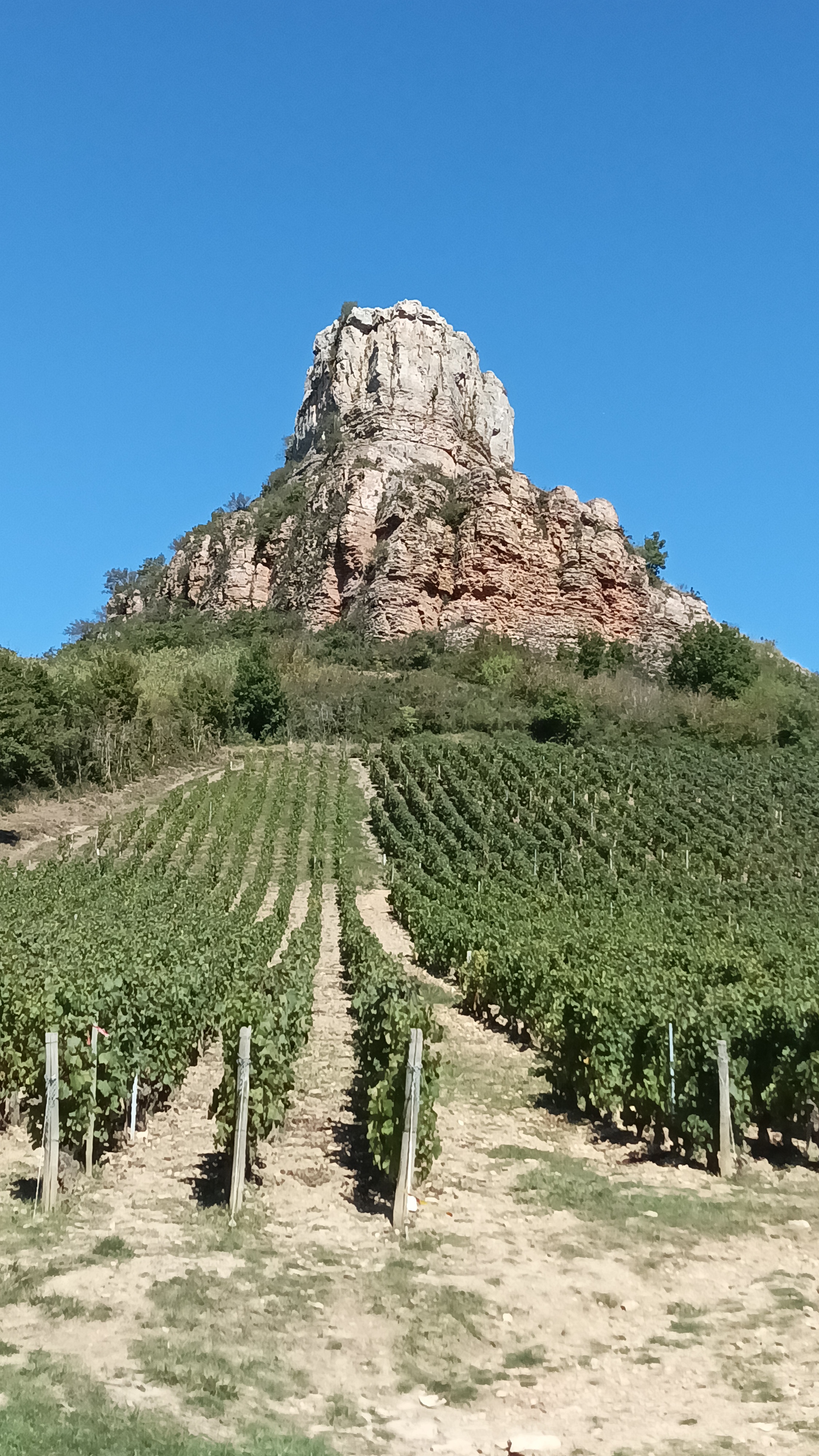 Photo n° 1 de l'avis de Dominique.o fait le 21/09/2022 à 19:21