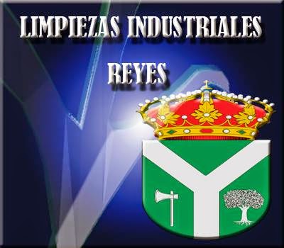 Imagen de Limpiezas Industriales Reyes (5 de 5)