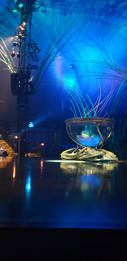 Skateboard Park «Action Park Grand Prairie», reviews and photos, 1002 Lone Star Pkwy, Grand Prairie, TX 75050, USA