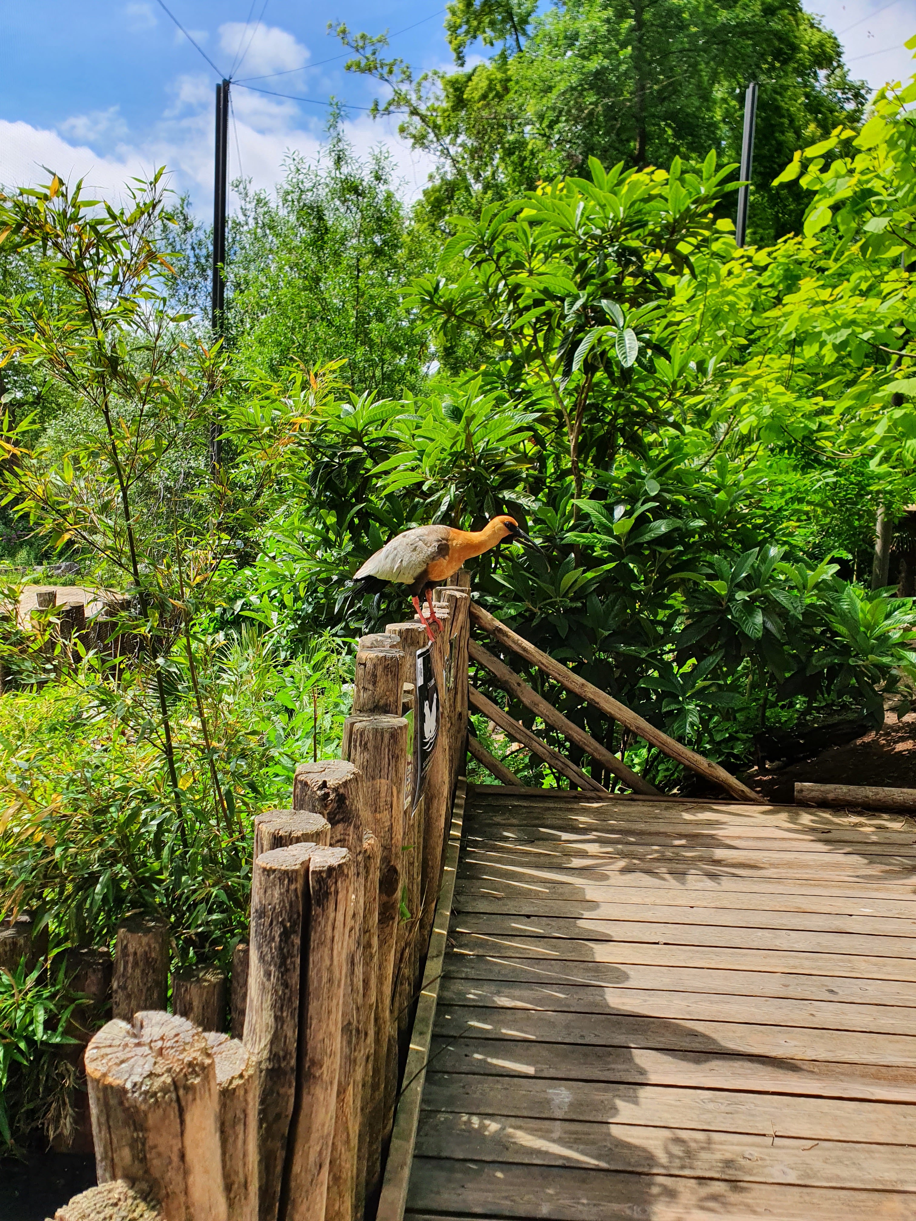 Photo n° 1 de l'avis de Floriane.O fait le 11/06/2021 à 14:04