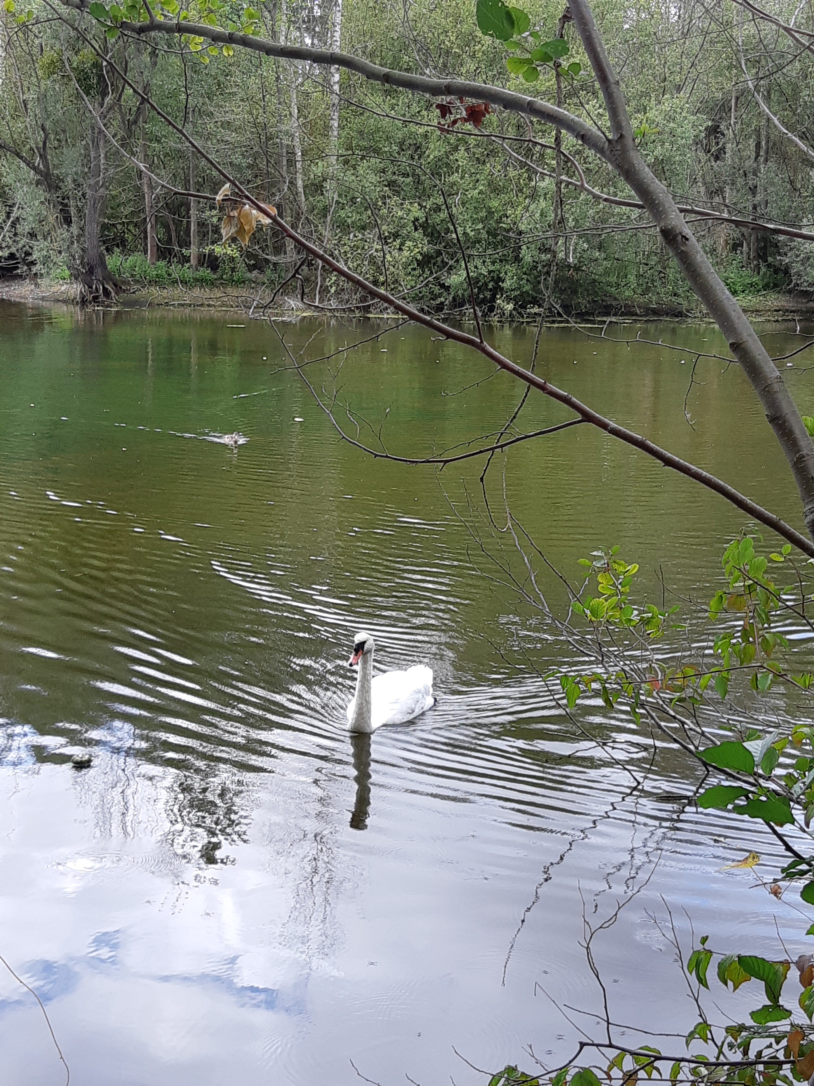 Photo n° 7 de l'avis de Tina.. fait le 08/09/2019 à 11:30