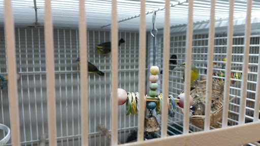 Pet Supply Store «Pet Supplies Plus», reviews and photos, 720 Hoosick Rd, Troy, NY 12180, USA