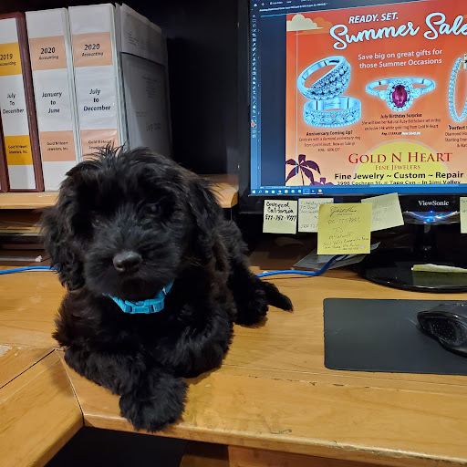 Jewelry Store «Gold N Heart Jewelers (Store #1)», reviews and photos, 3998 Cochran St #4, Simi Valley, CA 93063, USA