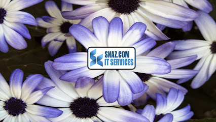 SnazCom IT Services Ltd.