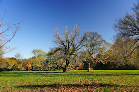 Brookdale Park