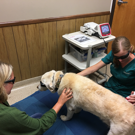 Noah's Landing Pet Care Clinic, LLC image