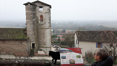 Bar restaurant à Saint-Pons-de-Thomières