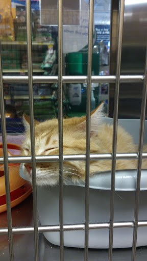 Pet Supply Store «PetSmart», reviews and photos, 4794 Jimmy Lee Smith Pkwy #108, Hiram, GA 30141, USA