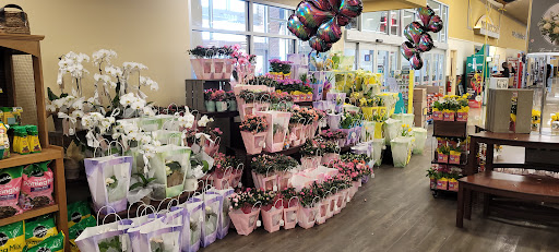 Grocery Store «Safeway», reviews and photos, 9807 Main St, Damascus, MD 20872, USA