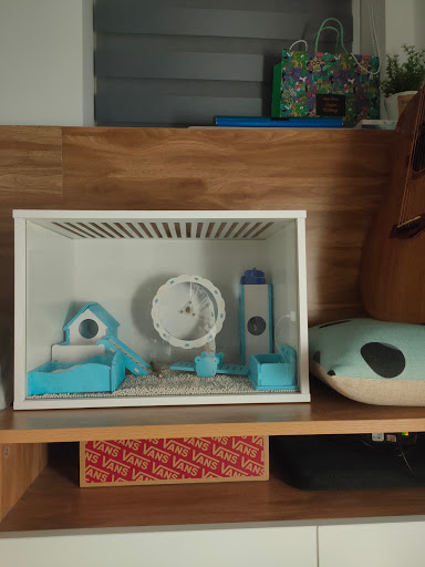 Top 1 cửa hàng lolipet Quận Ngũ Hành Sơn Đà Nẵng 2022