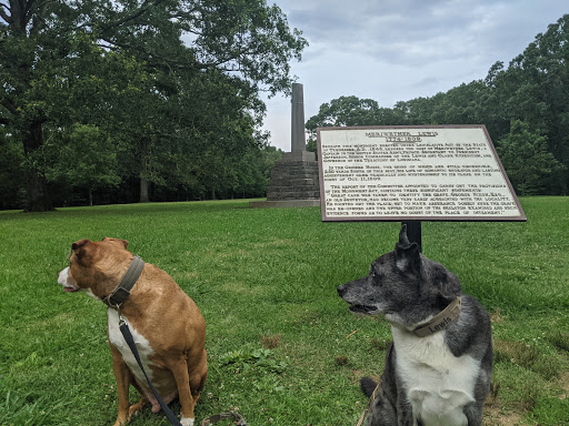 Monument «Meriwether Lewis Monument», reviews and photos, Old Natchez Trace, Hohenwald, TN 38462, USA