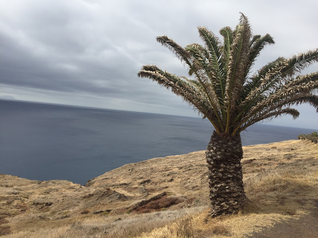 Ponta de São Lourenço Parking - Machico