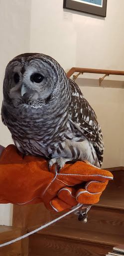 Non-Profit Organization «Museum of American Bird Art at Mass Audubon», reviews and photos, 963 Washington St, Canton, MA 02021, USA