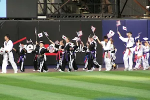 World Class Taekwondo Academy image