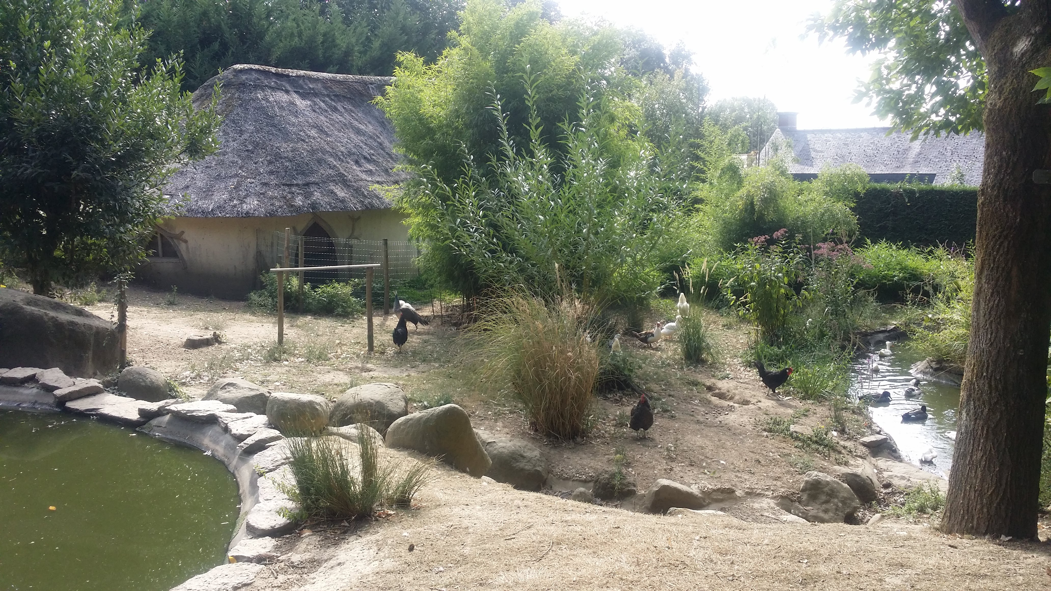 Photo n° 12 de l'avis de Alain.o fait le 24/03/2019 à 11:17