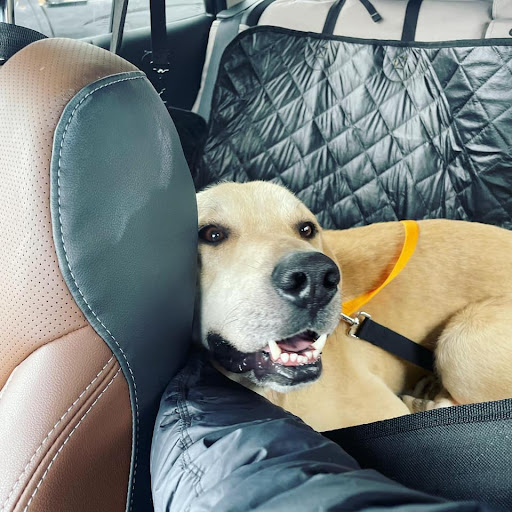 Subaru Dealer «Brilliance Subaru», reviews and photos, 1500 N Randall Rd, Elgin, IL 60123, USA