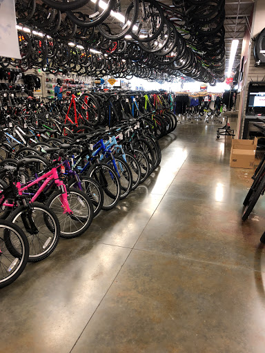 Bicycle Store «Canyon Bicycles - Draper», reviews and photos, 762 E 12300 S, Draper, UT 84020, USA