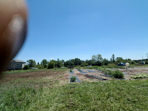 Recreation Center «The Key Haunted Escape Rooms at Post Road Recreation Center», reviews and photos, 4700 N Post Rd, Indianapolis, IN 46226, USA