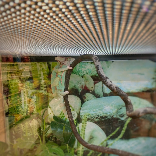 Pet Supply Store «Petco Animal Supplies», reviews and photos, 1919 El Camino Real, Mountain View, CA 94040, USA