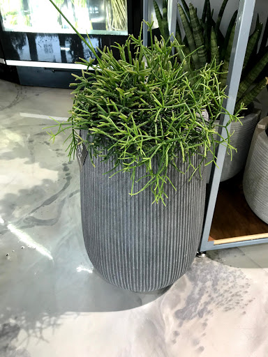 Florist «Red Square Flowers», reviews and photos, 337 W Mifflin St, Madison, WI 53703, USA