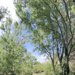 Photo n° 22 de l'avis de Theerlynck.h fait le 19/04/2022 à 15:19 pour Parc de l'Ancienne Poudrerie de Saint-Chamas Miramas à Miramas