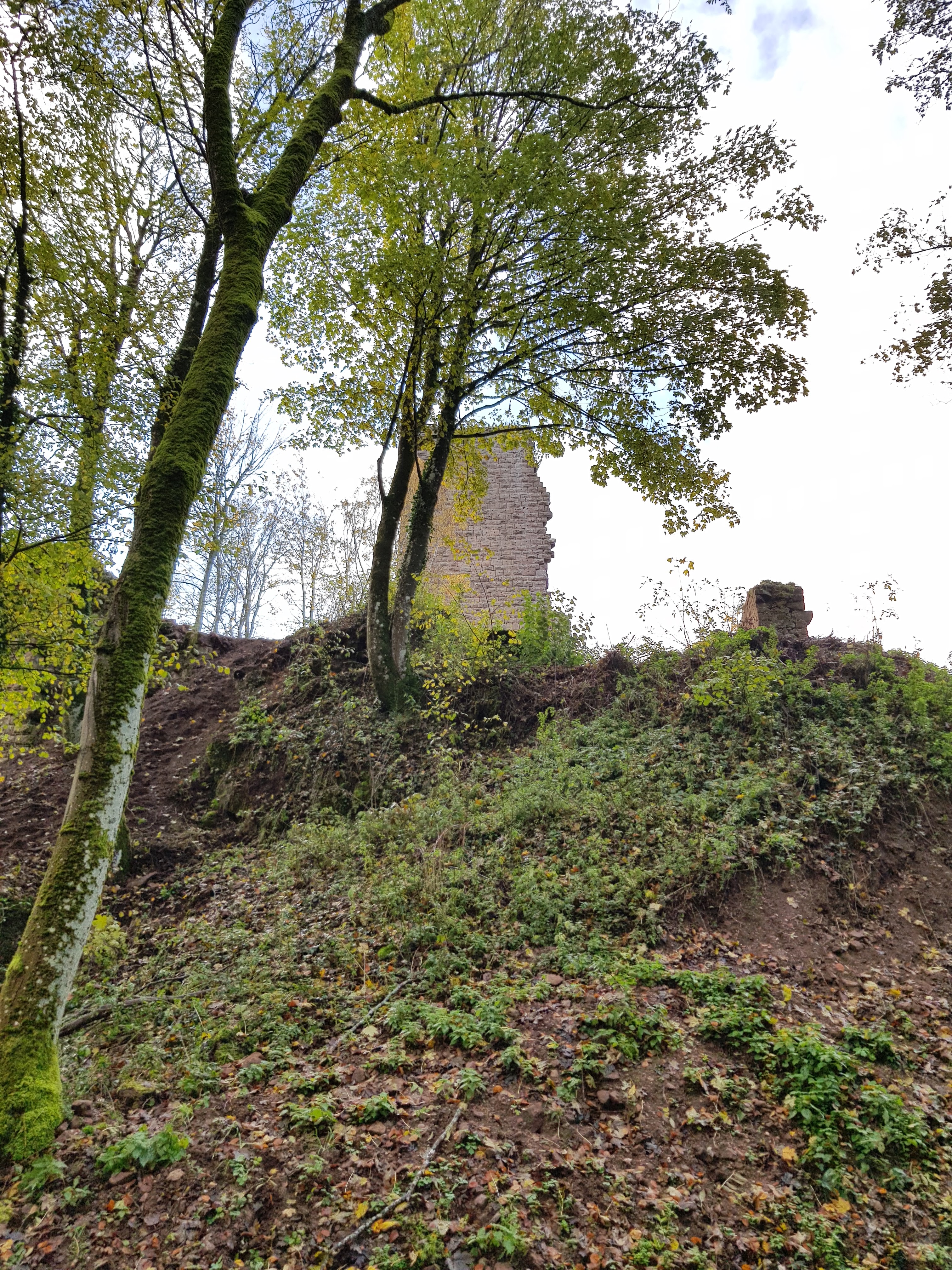Photo n° 26 de l'avis de Roland.c fait le 09/11/2019 à 18:18