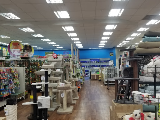 Pet Supply Store «Pet Supermarket», reviews and photos, 2090 E Arapaho Rd, Richardson, TX 75081, USA