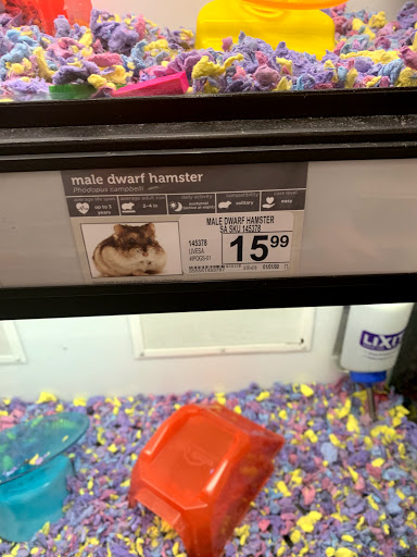 Pet Supply Store «Petco Animal Supplies», reviews and photos, 436 E Rollins Rd, Round Lake Beach, IL 60073, USA