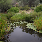 Photo n° 1 de l'avis de Copines,.a fait le 10/06/2019 à 21:13 pour Parc de Saleccia à L'Île-Rousse