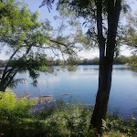 Photo n° 1 de l'avis de Brigittajolifleurdejava.r fait le 13/08/2021 à 06:10 pour Lac de Codolet à Codolet