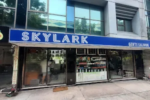 Skylark Gents Salon-Best Mens Salon of Kolkata image
