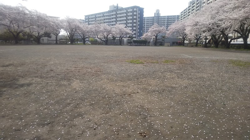 並木通り団地グラウンド