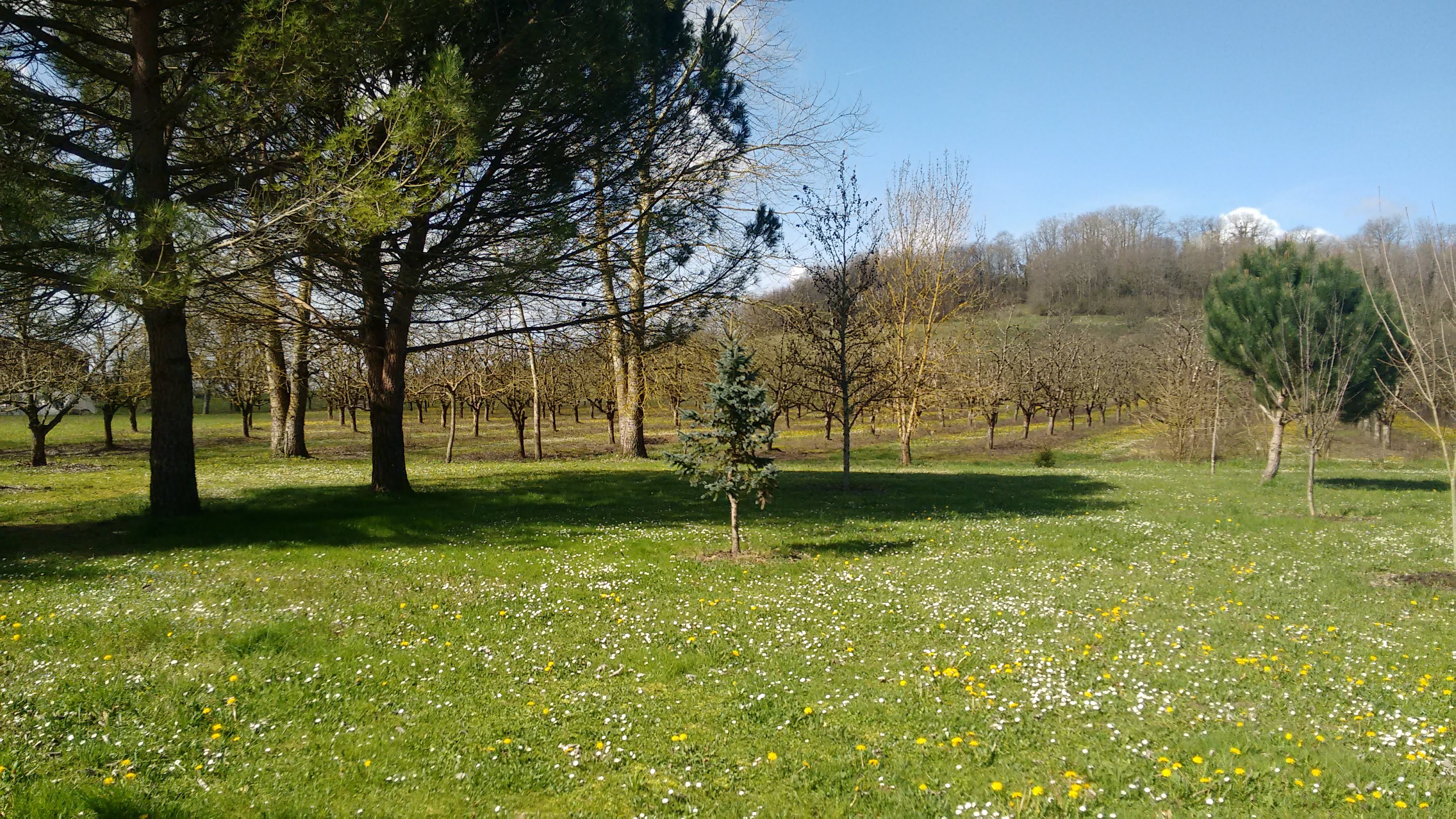Photo n° 6 de l'avis de Felipe.a fait le 01/04/2018 à 19:04