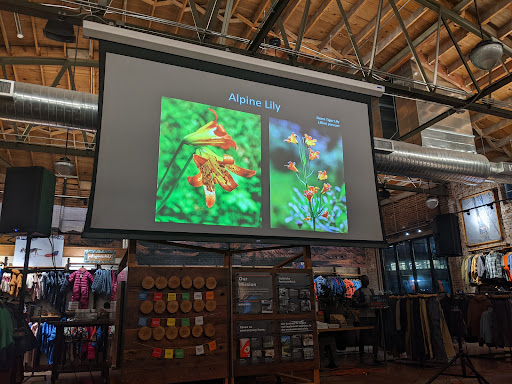 Clothing Store «Patagonia Outlet Reno», reviews and photos, 130 S Center St, Reno, NV 89501, USA