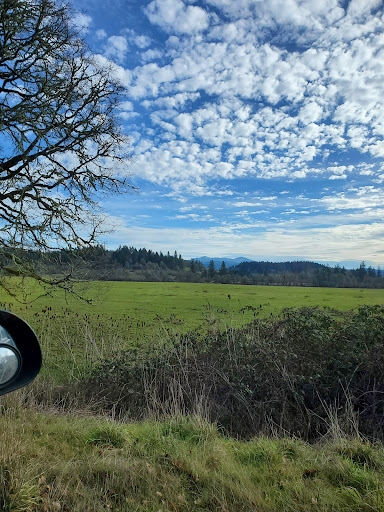 Recreation Center «Park Lanes Family Entertainment Center», reviews and photos, 6360 SE Alexander St, Hillsboro, OR 97123, USA